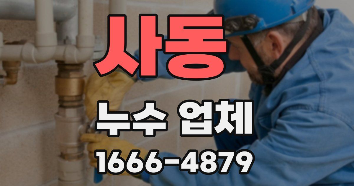 사동 누수 업체