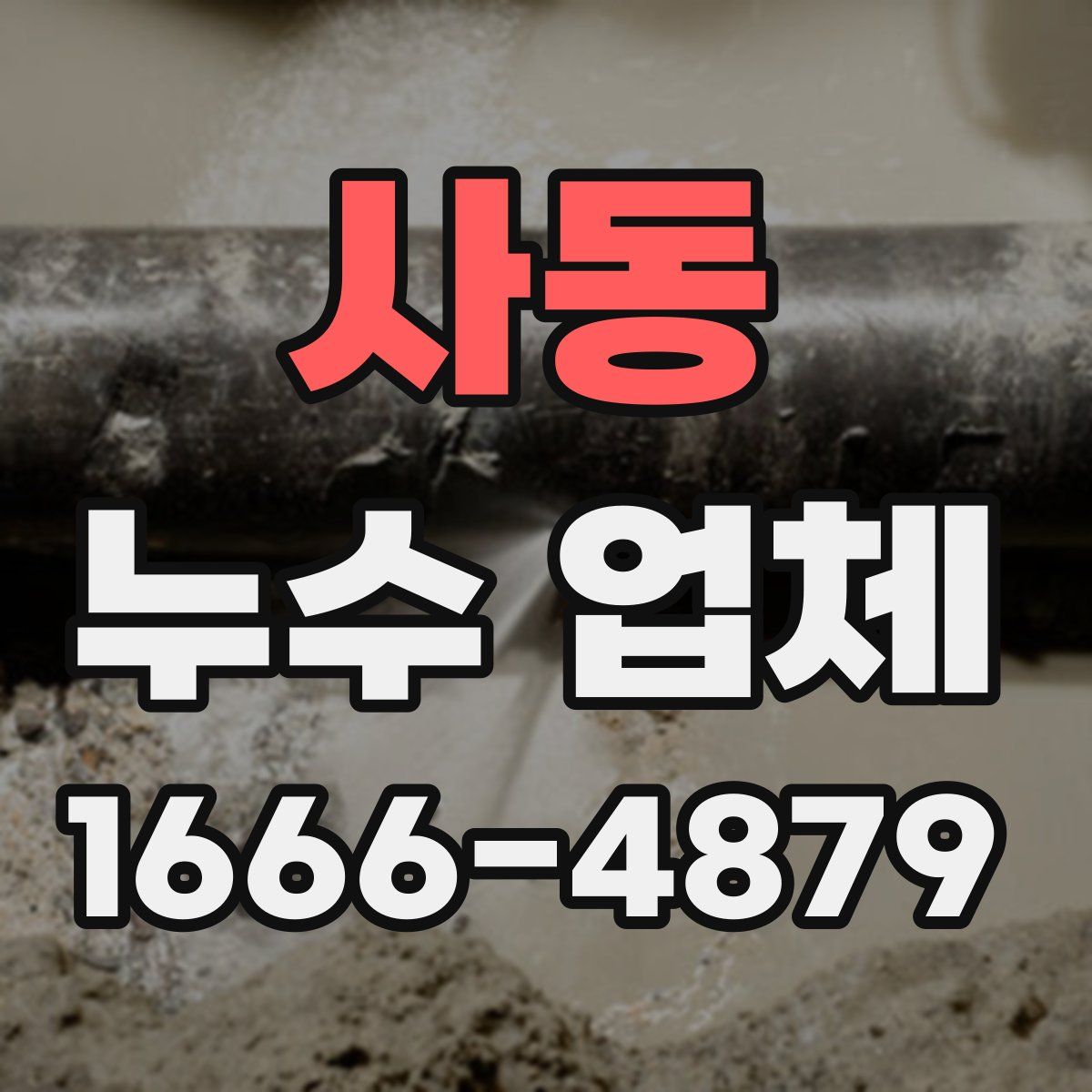 사동 누수 업체
