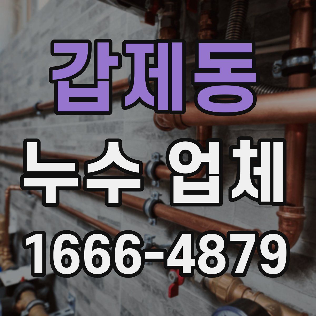 갑제동 누수 업체