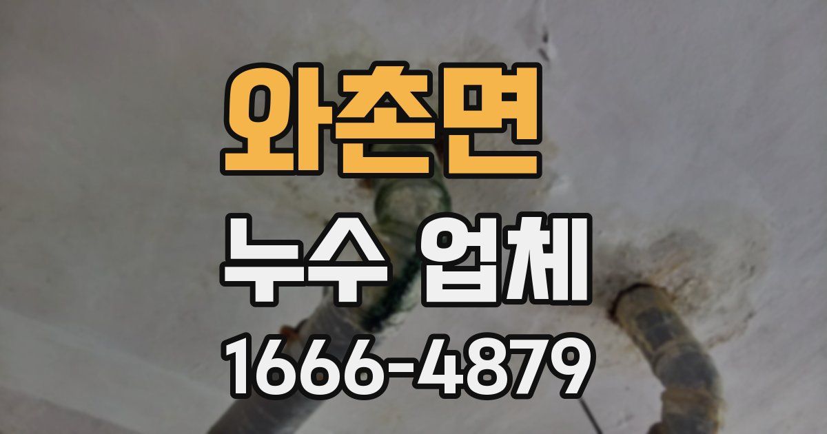 와촌면 누수 업체