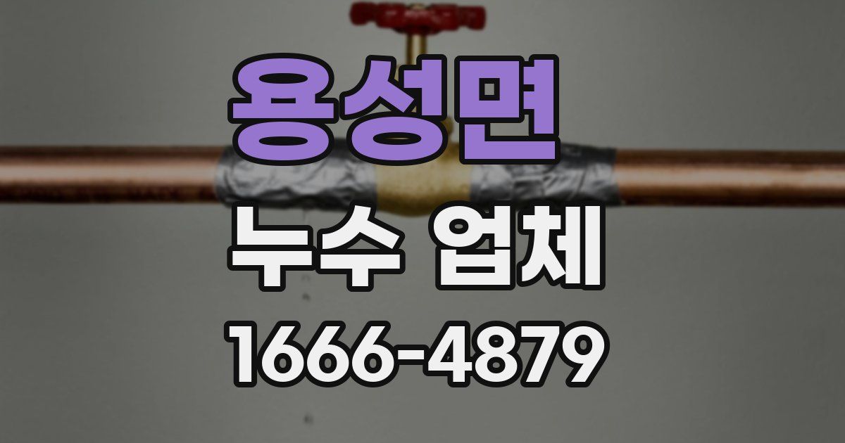 용성면 누수 업체