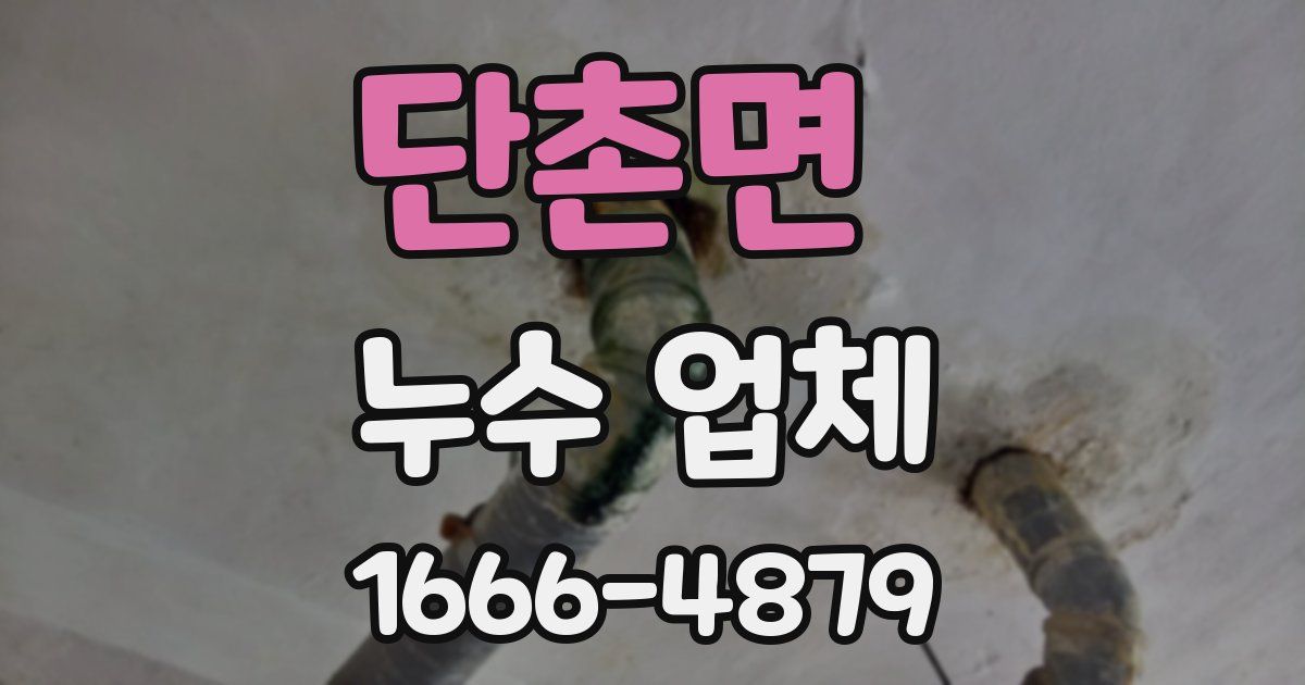 단촌면 누수 업체