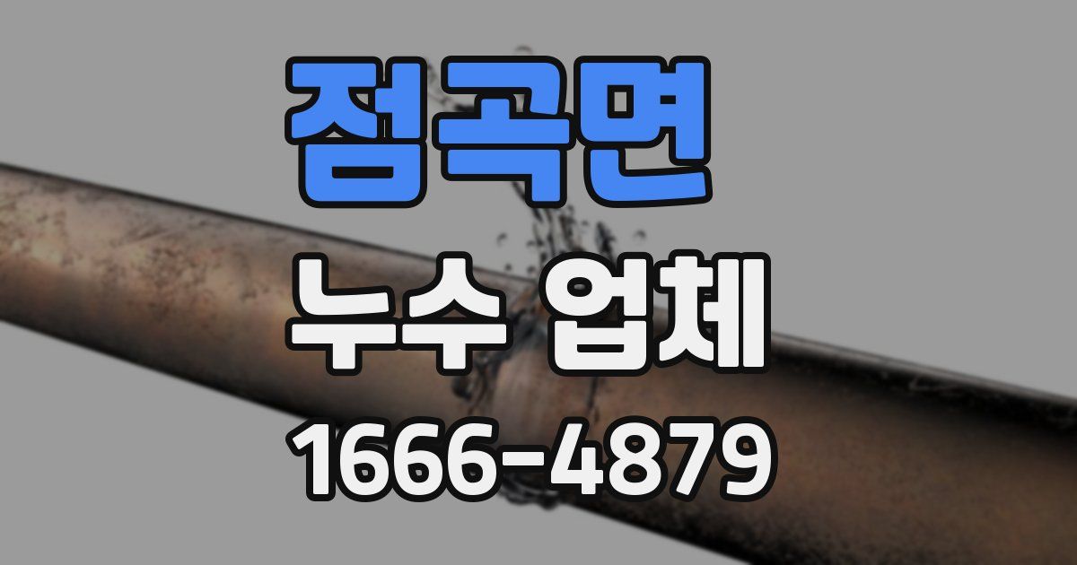 점곡면 누수 업체