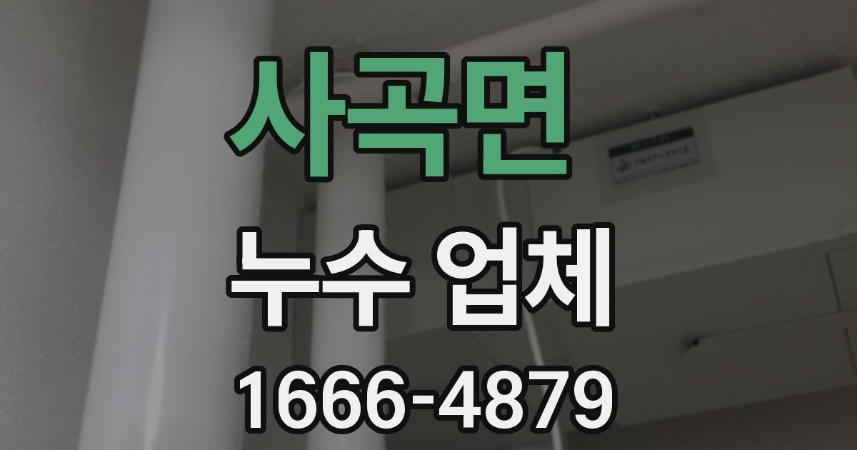 사곡면 누수 업체