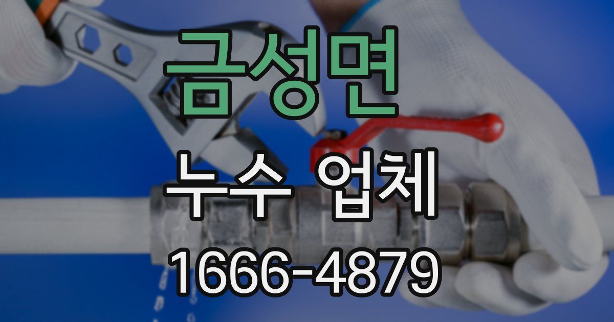 금성면 누수 업체