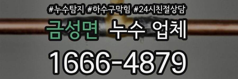 금성면 누수 업체