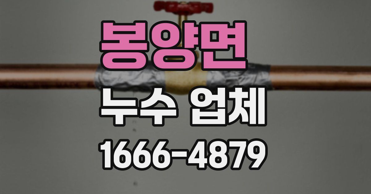 봉양면 누수 업체