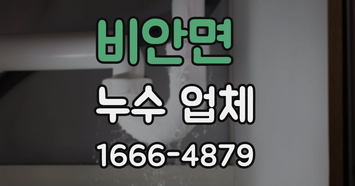 비안면 누수 업체