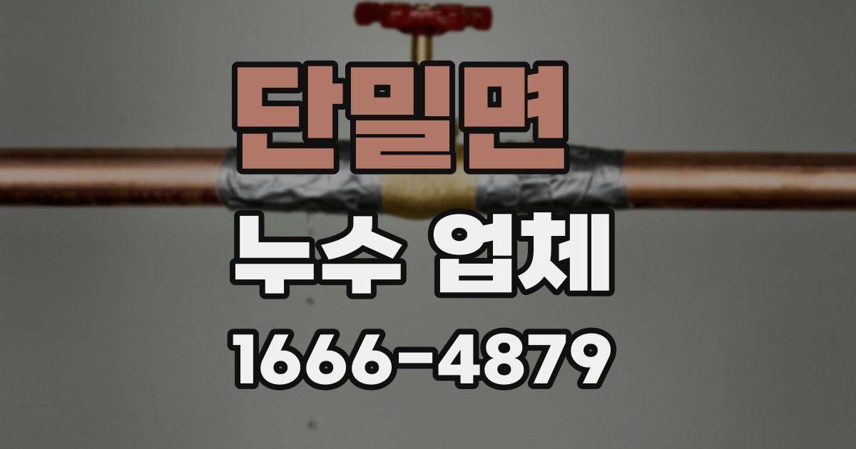 단밀면 누수 업체