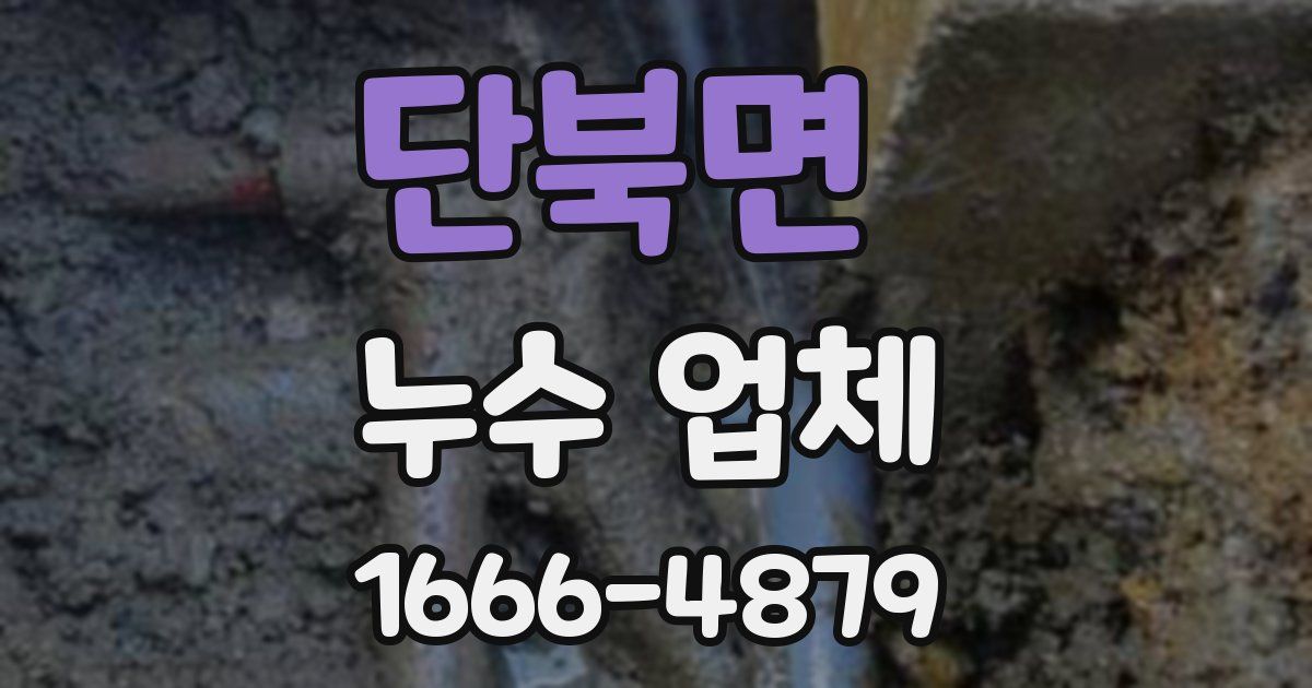 단북면 누수 업체