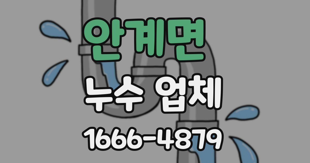 안계면 누수 업체