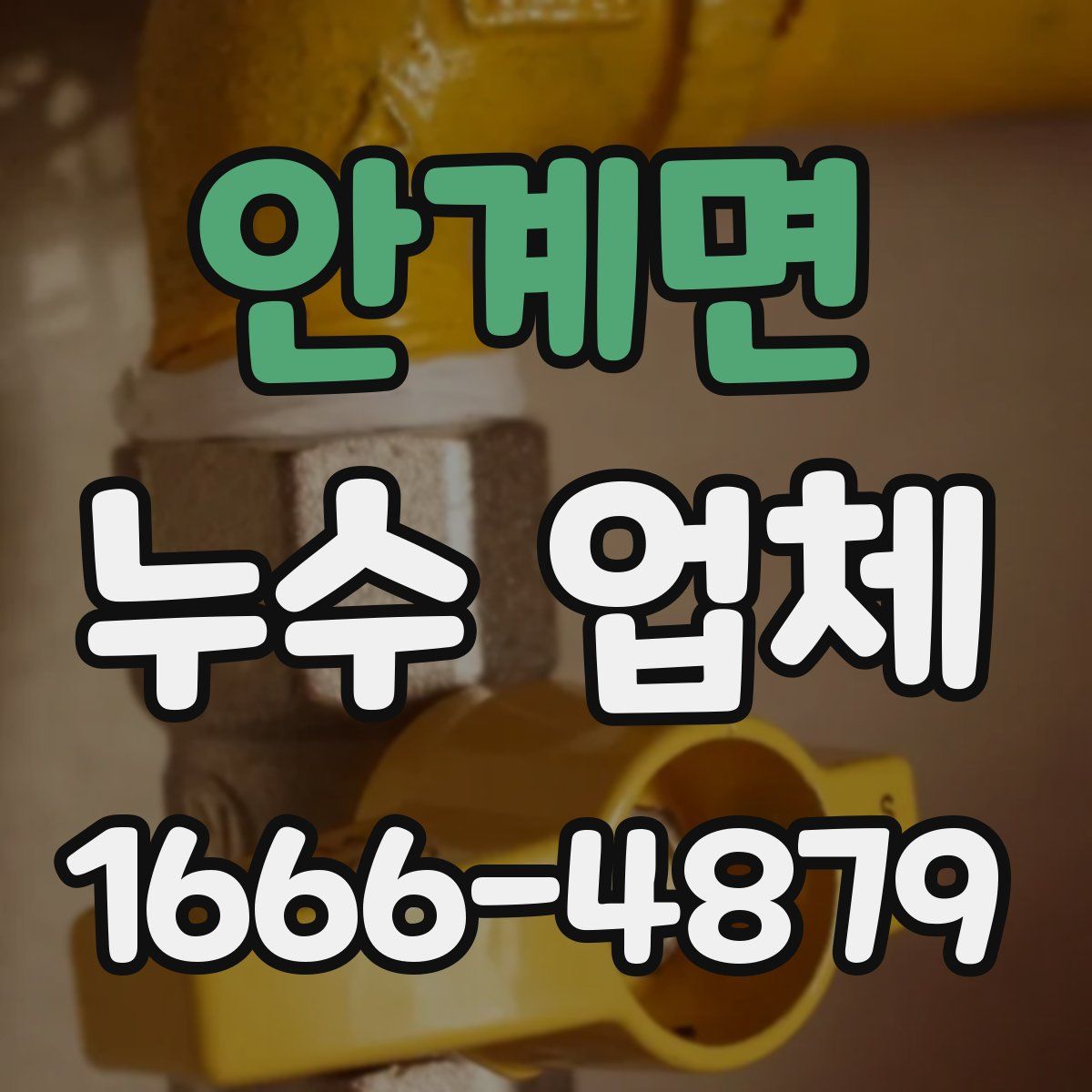 안계면 누수 업체