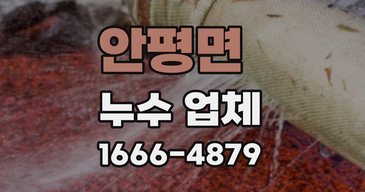 안평면 누수 업체