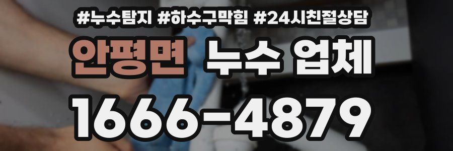 안평면 누수 업체