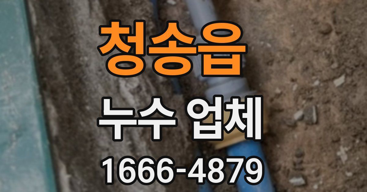 청송읍 누수 업체