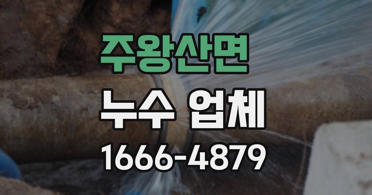 주왕산면 누수 업체