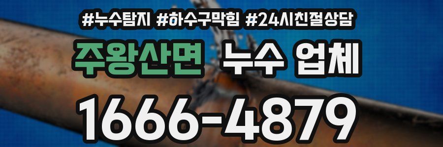 주왕산면 누수 업체