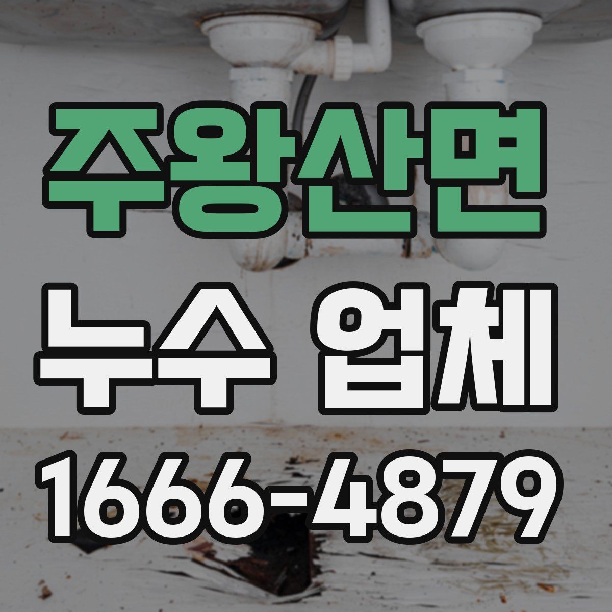 주왕산면 누수 업체