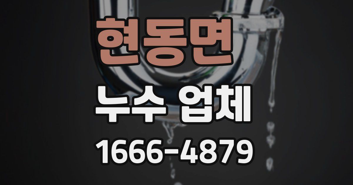 현동면 누수 업체