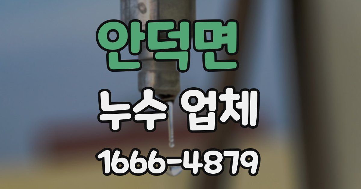 안덕면 누수 업체