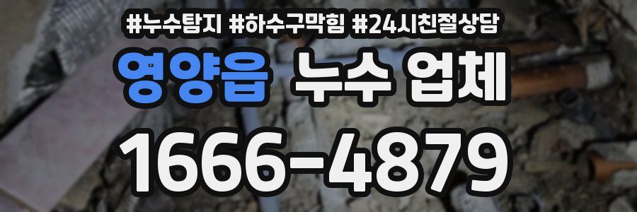 영양읍 누수 업체