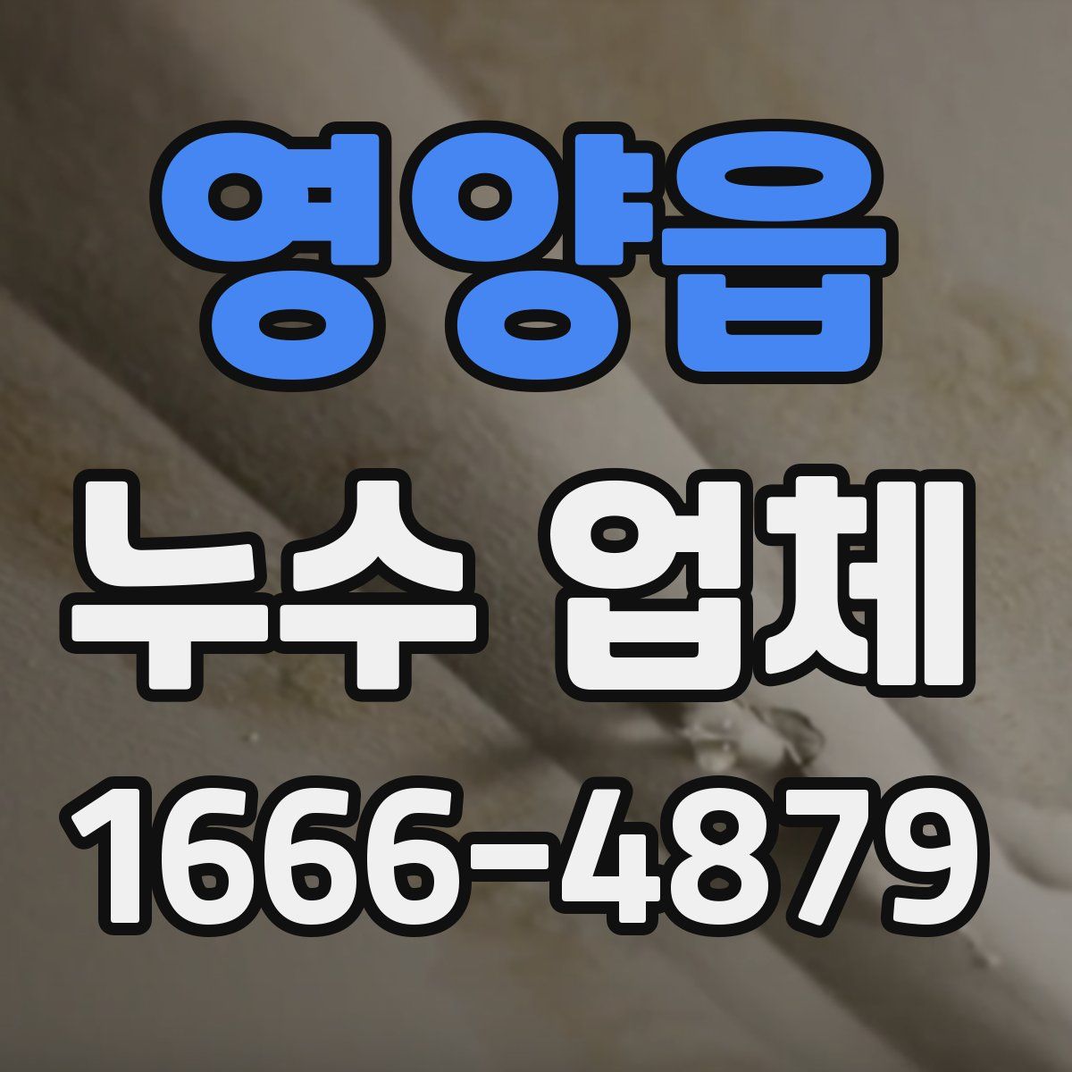 영양읍 누수 업체