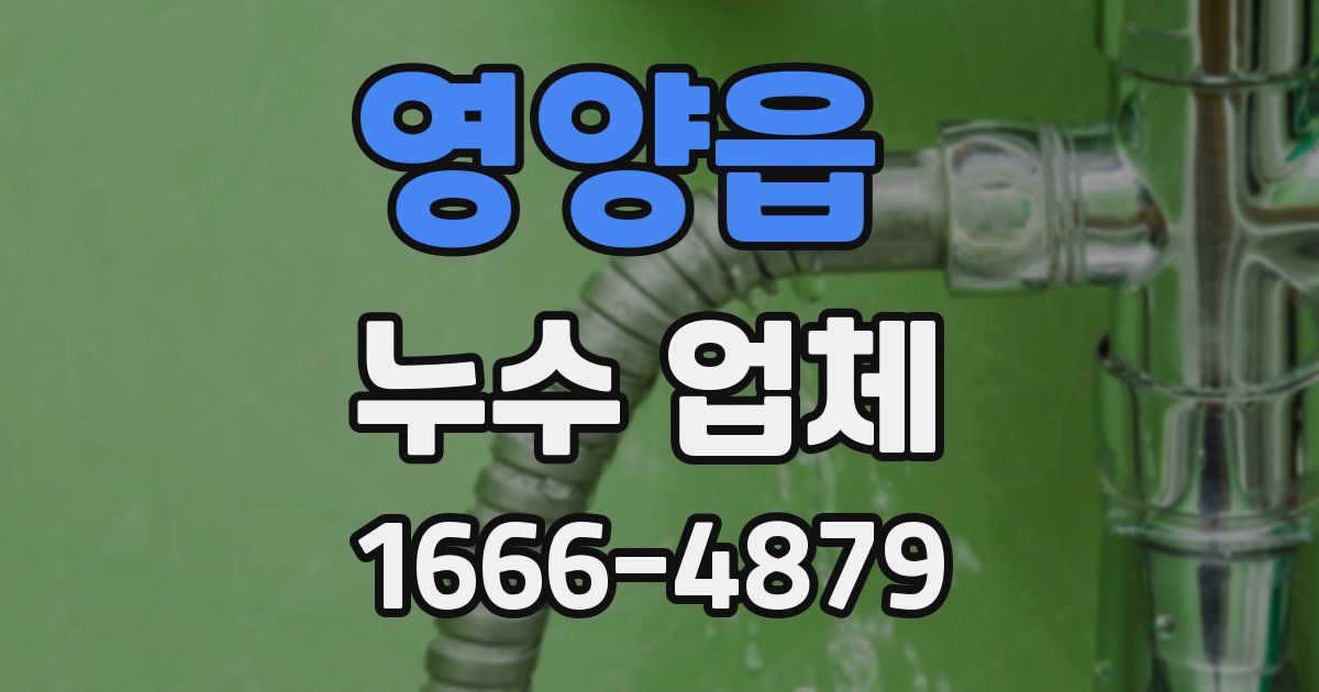 영양읍 누수 업체