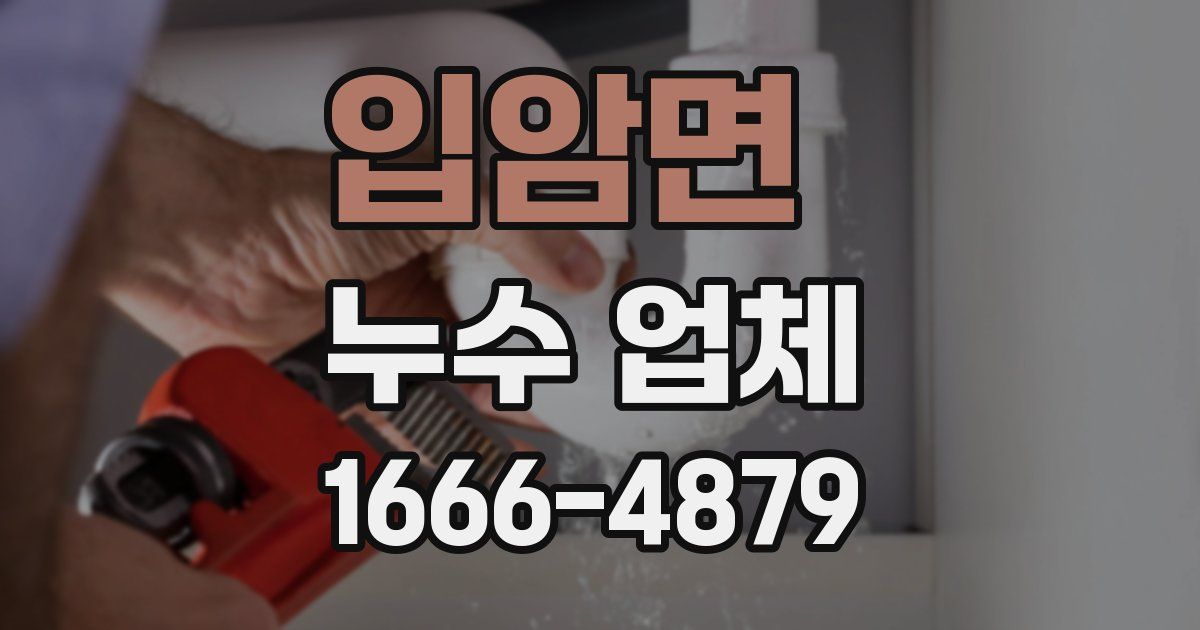입암면 누수 업체