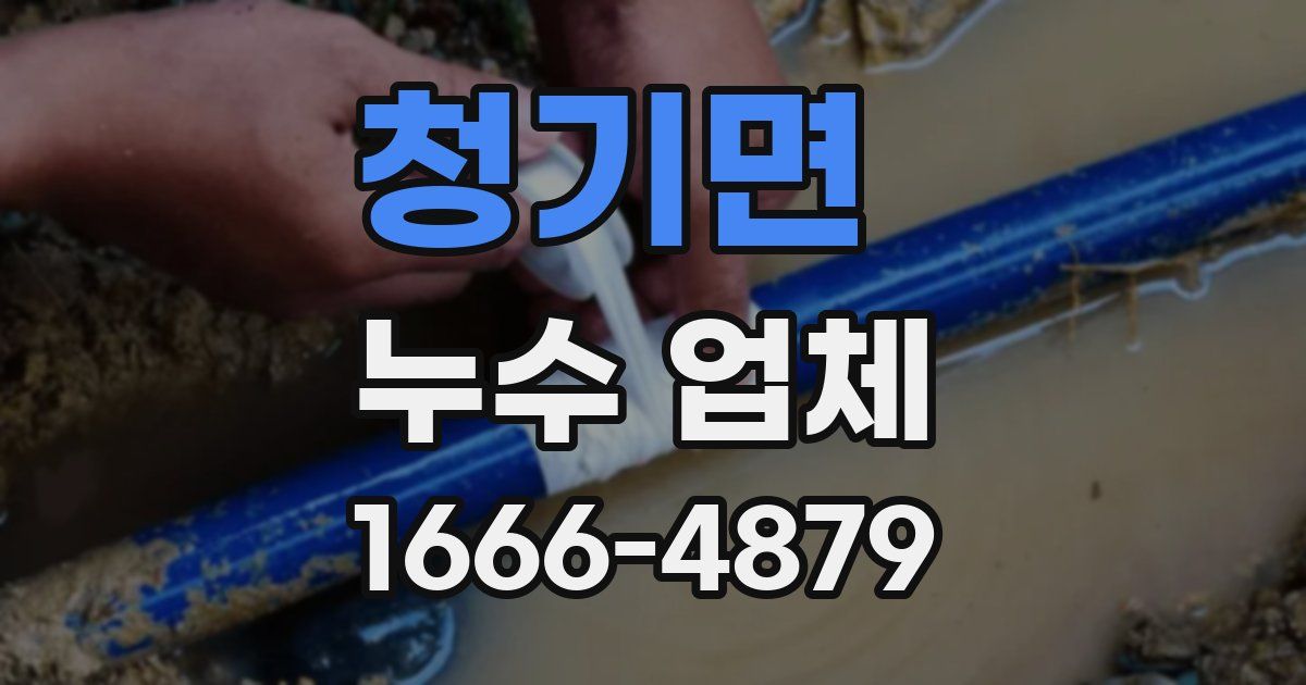 청기면 누수 업체