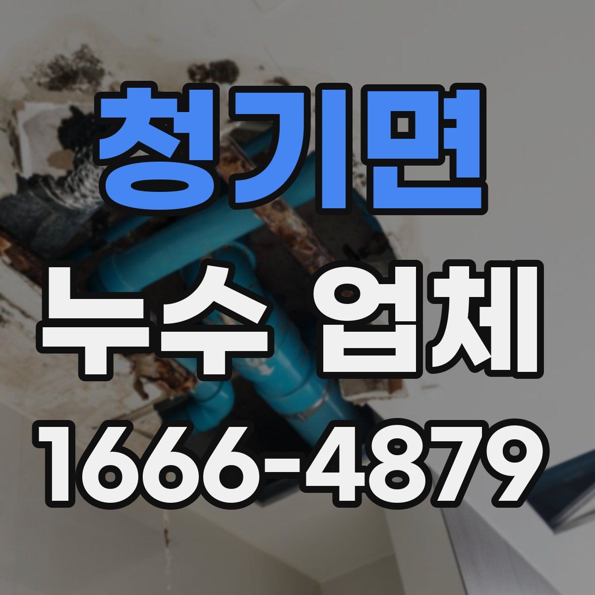 청기면 누수 업체