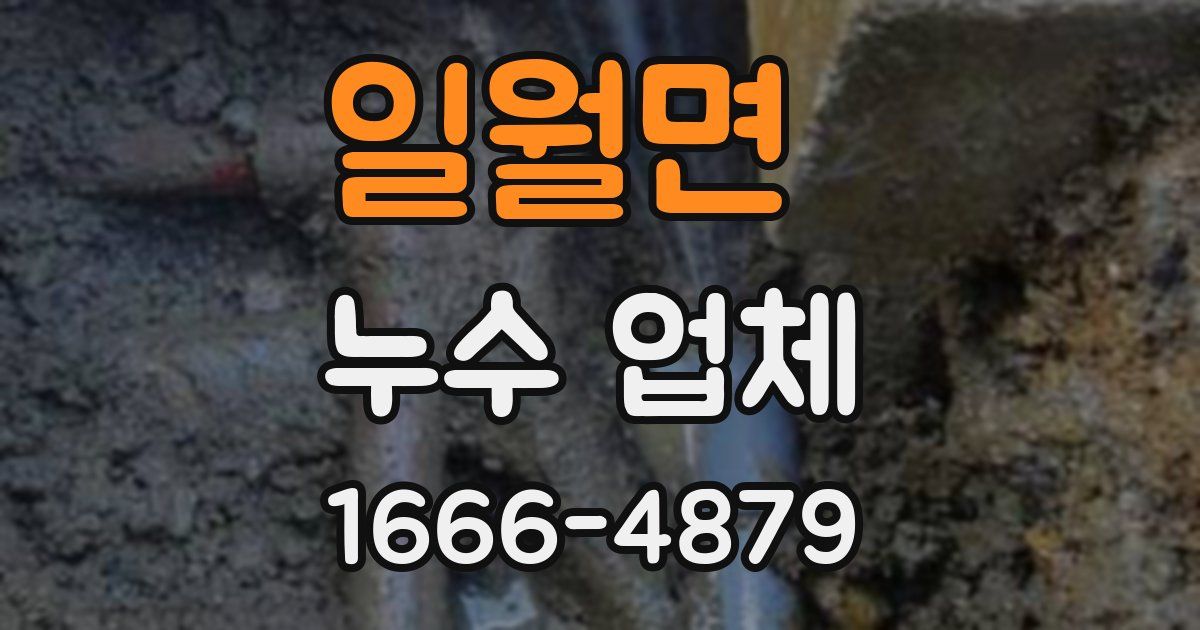 일월면 누수 업체