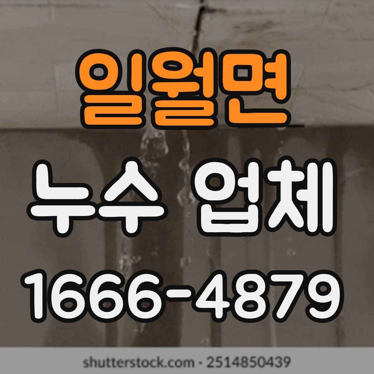 일월면 누수 업체