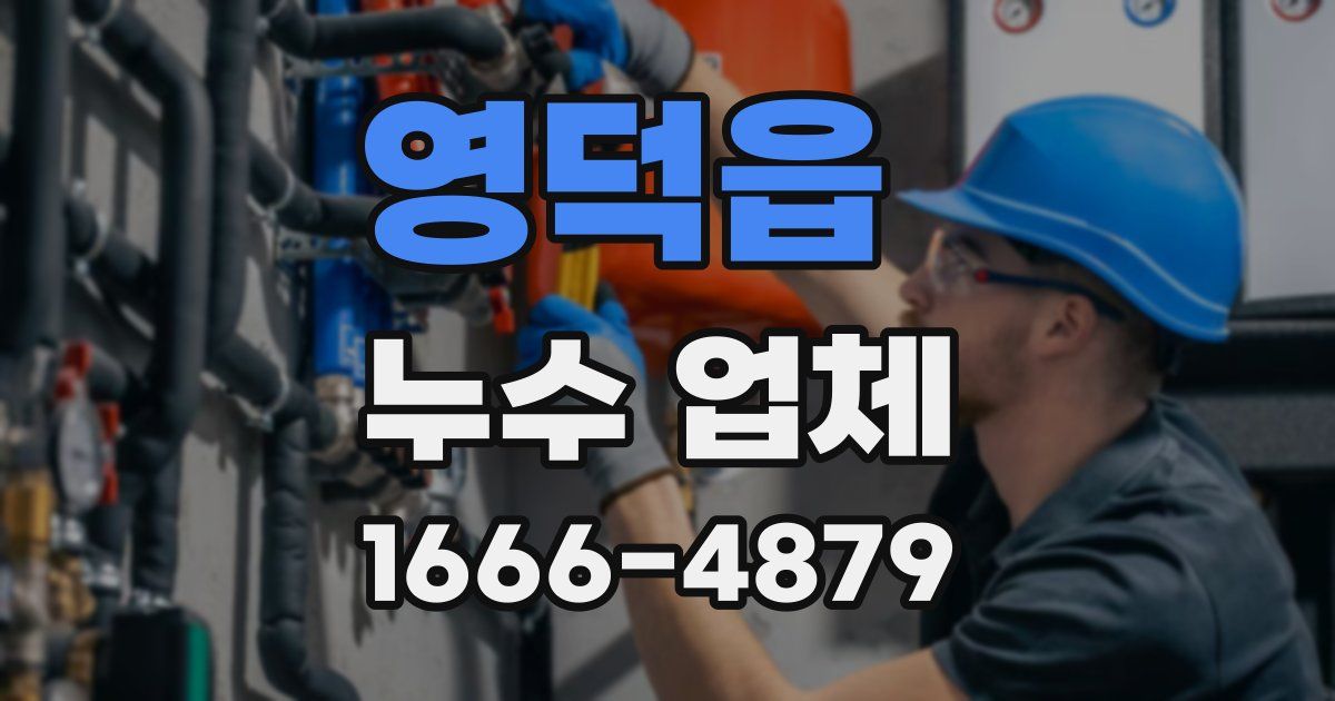 영덕읍 누수 업체