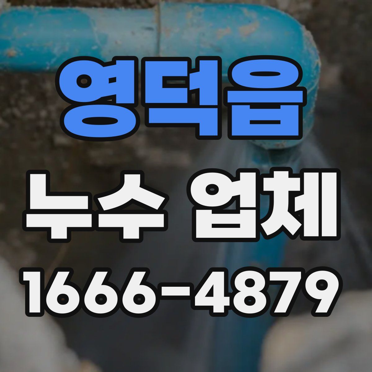 영덕읍 누수 업체