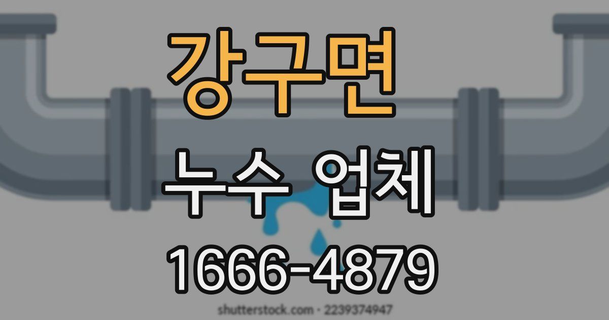 강구면 누수 업체