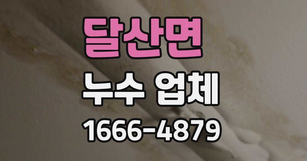 달산면 누수 업체