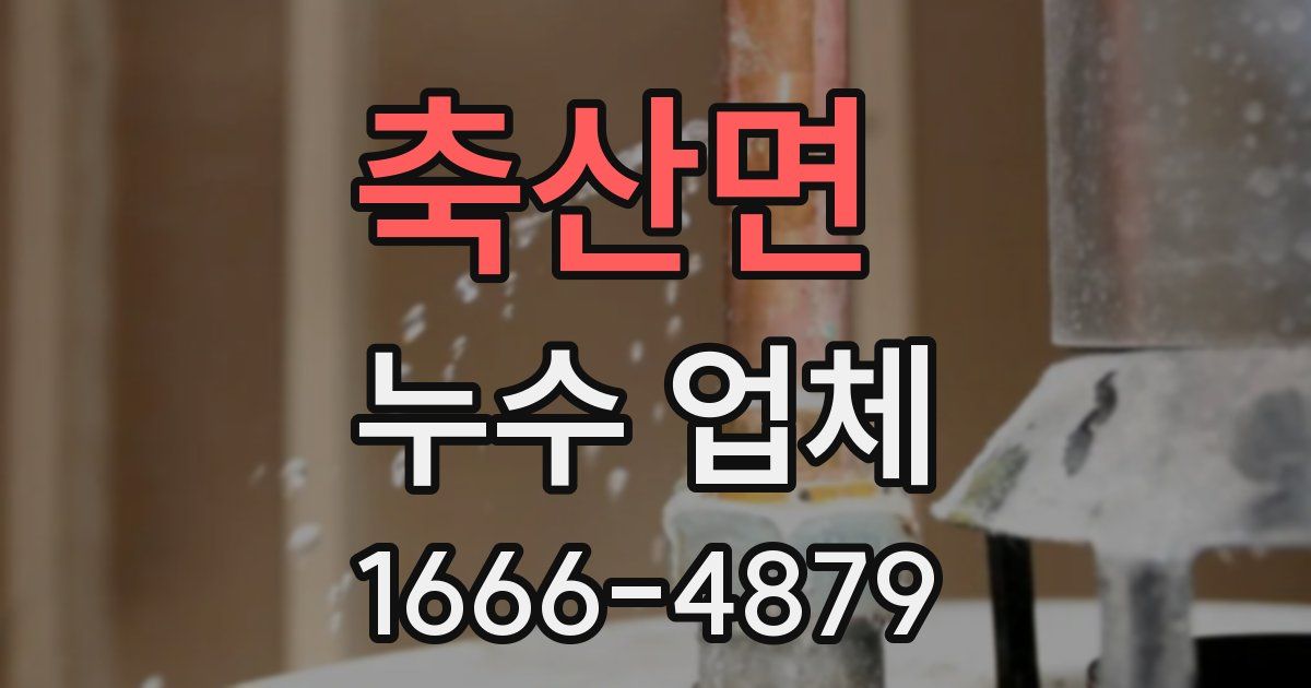축산면 누수 업체