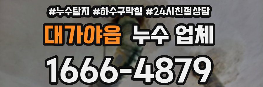 대가야읍 누수 업체