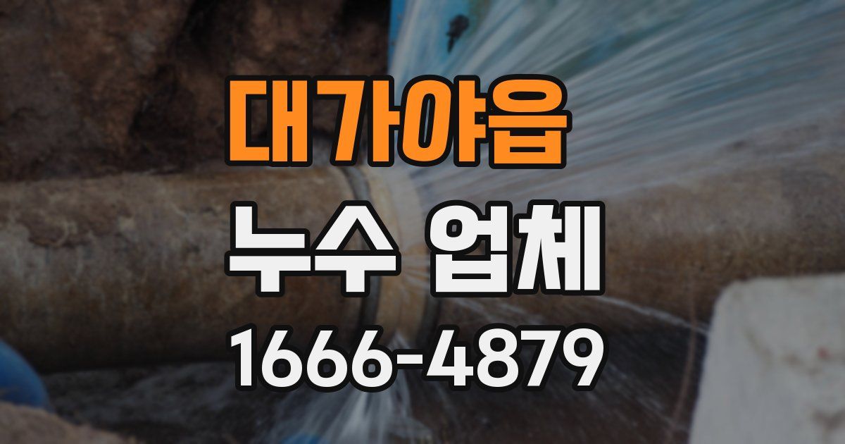 대가야읍 누수 업체