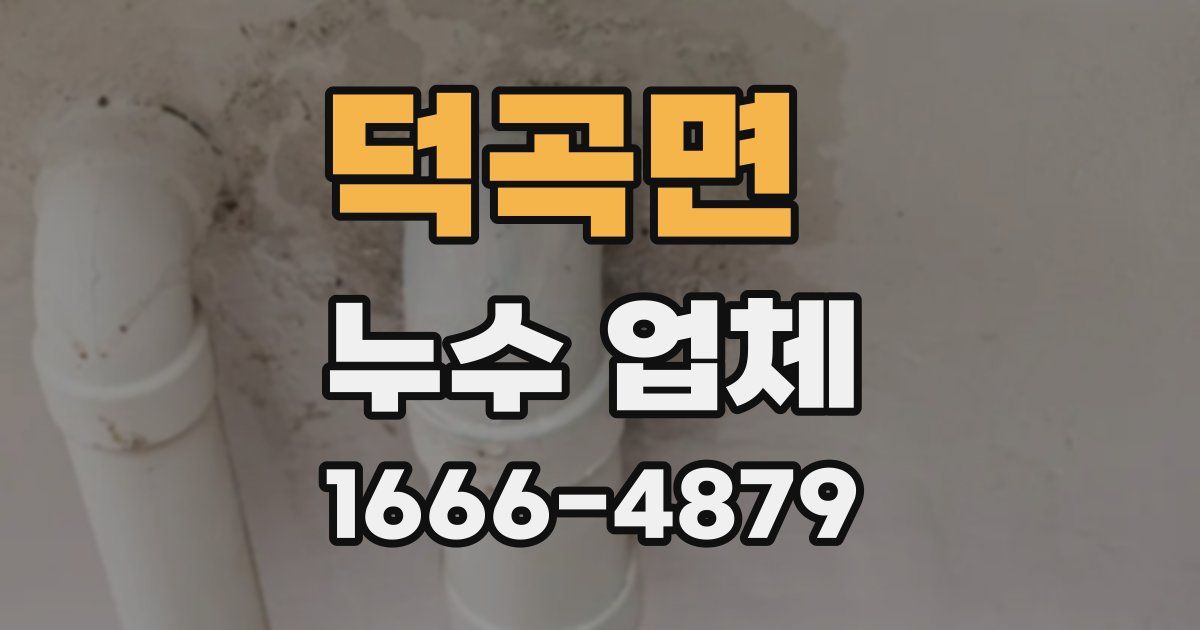 덕곡면 누수 업체