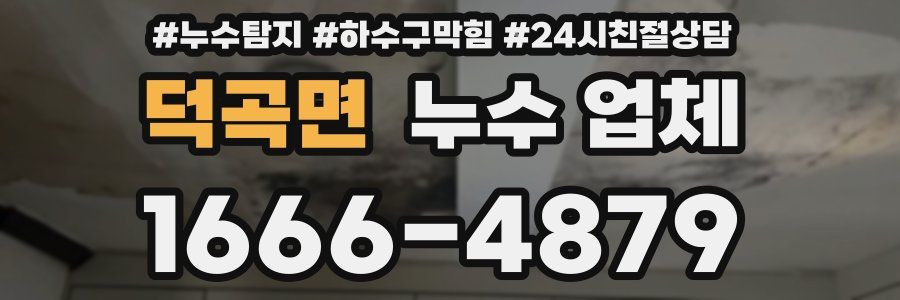 덕곡면 누수 업체