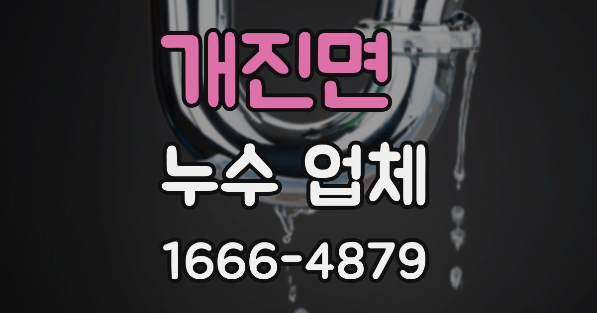 개진면 누수 업체