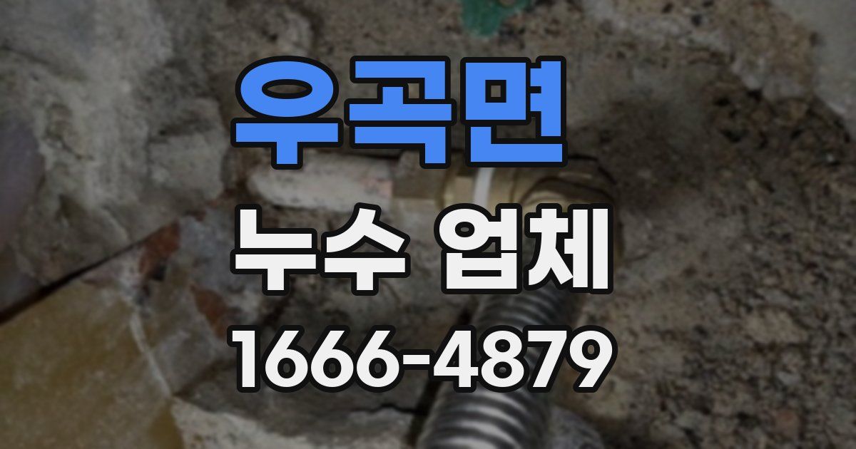 우곡면 누수 업체