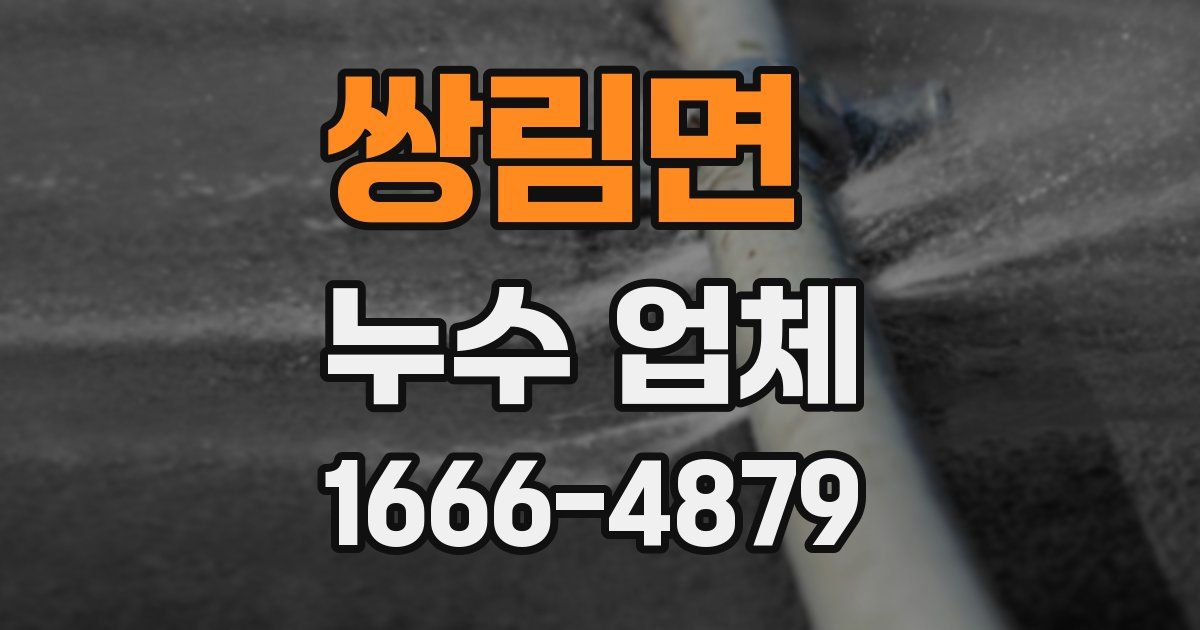 쌍림면 누수 업체