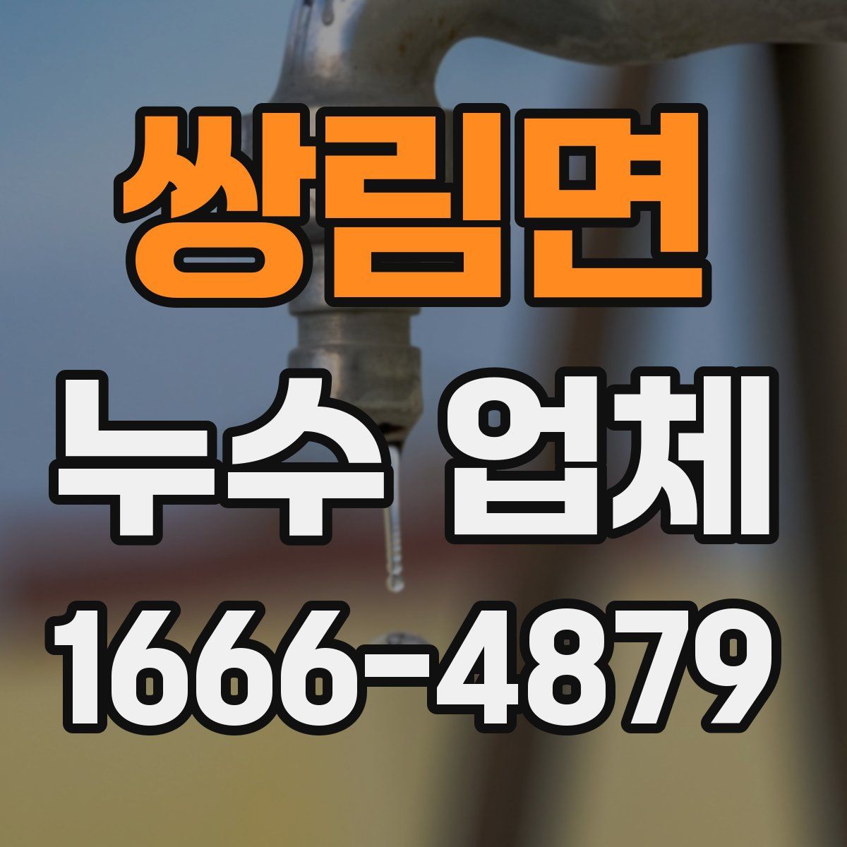 쌍림면 누수 업체