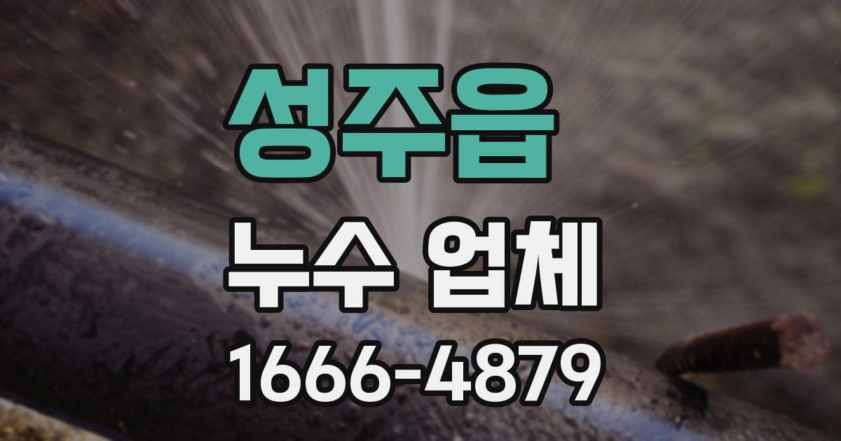 성주읍 누수 업체