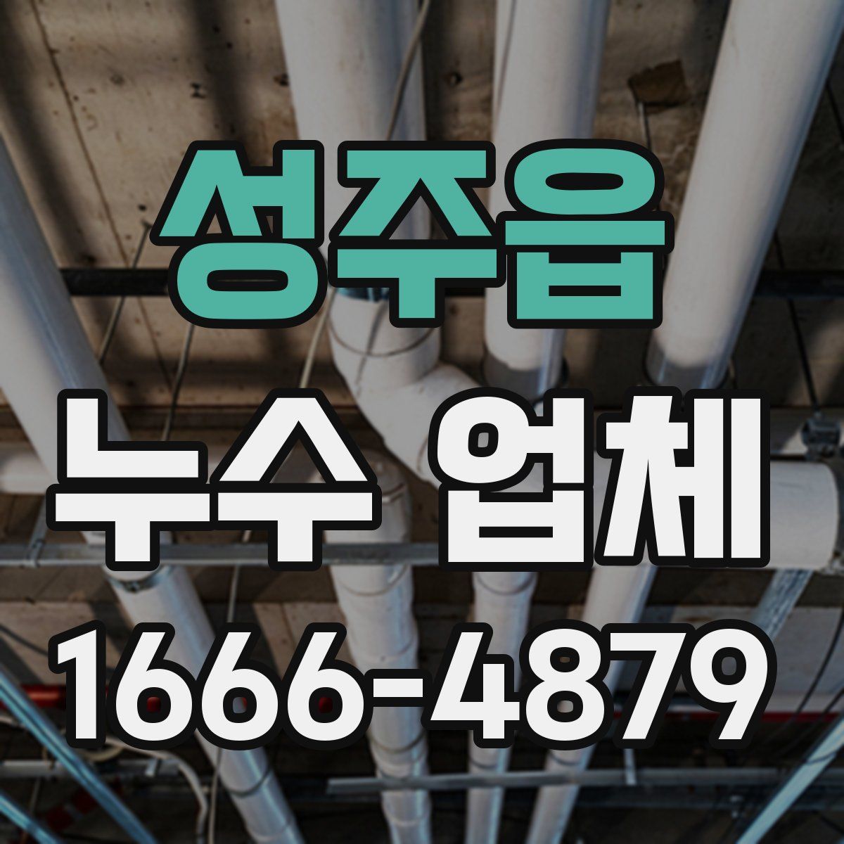 성주읍 누수 업체