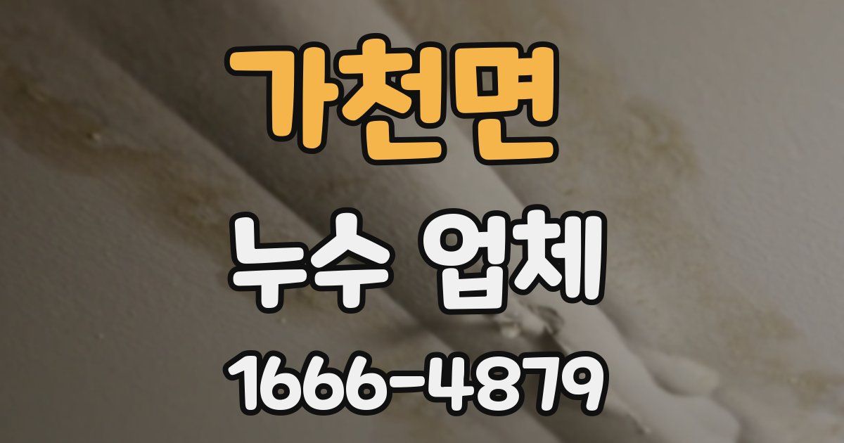 가천면 누수 업체