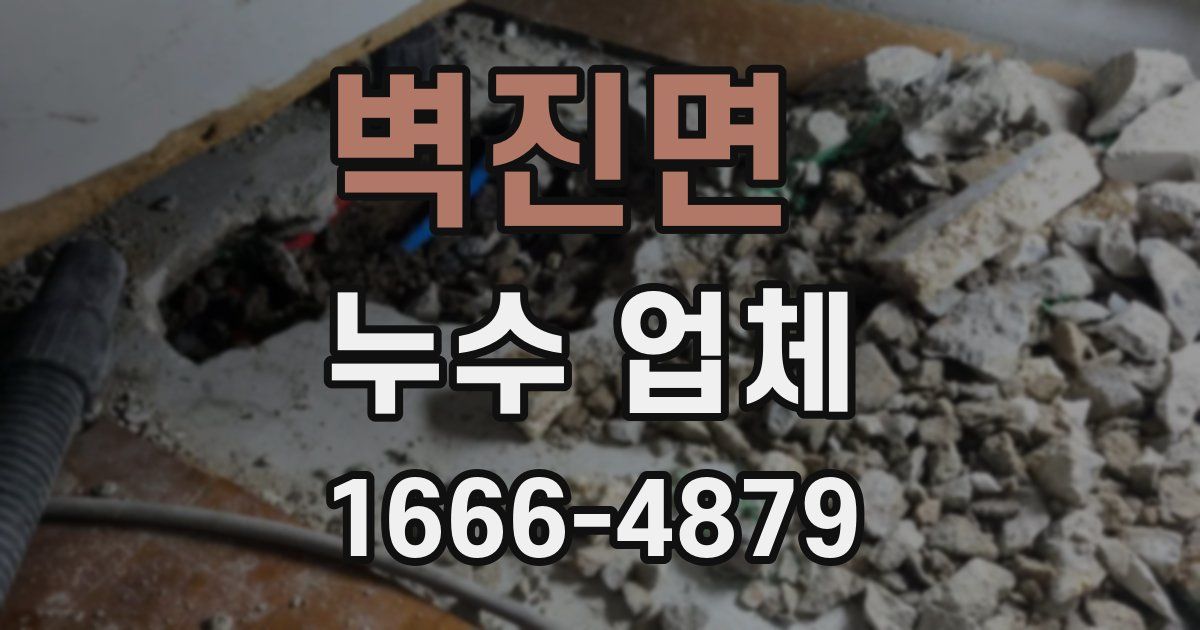 벽진면 누수 업체