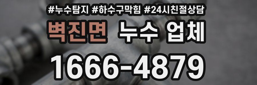 벽진면 누수 업체